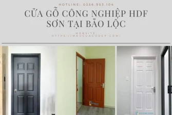 Cửa gỗ HDF Sơn