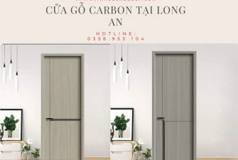 Cửa gỗ Carbon