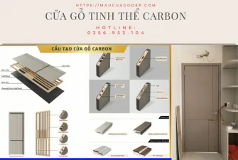 Cửa gỗ Carbon